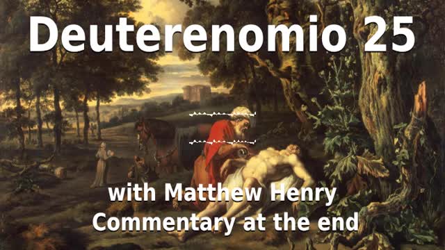 📖🕯 Santa Biblia - Deuteronomio 25 con Matthew Henry Comentario al final.