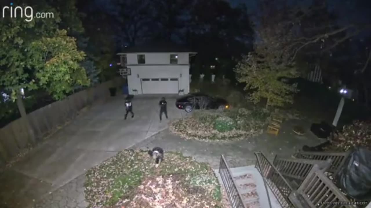 Wanna Play Guess The Race?