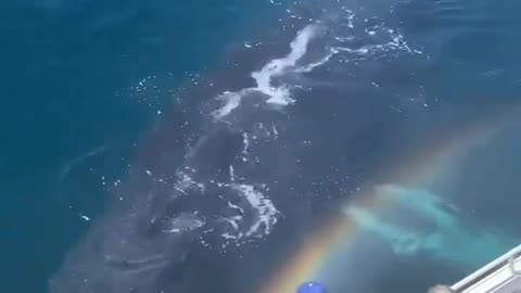 blow rainbow