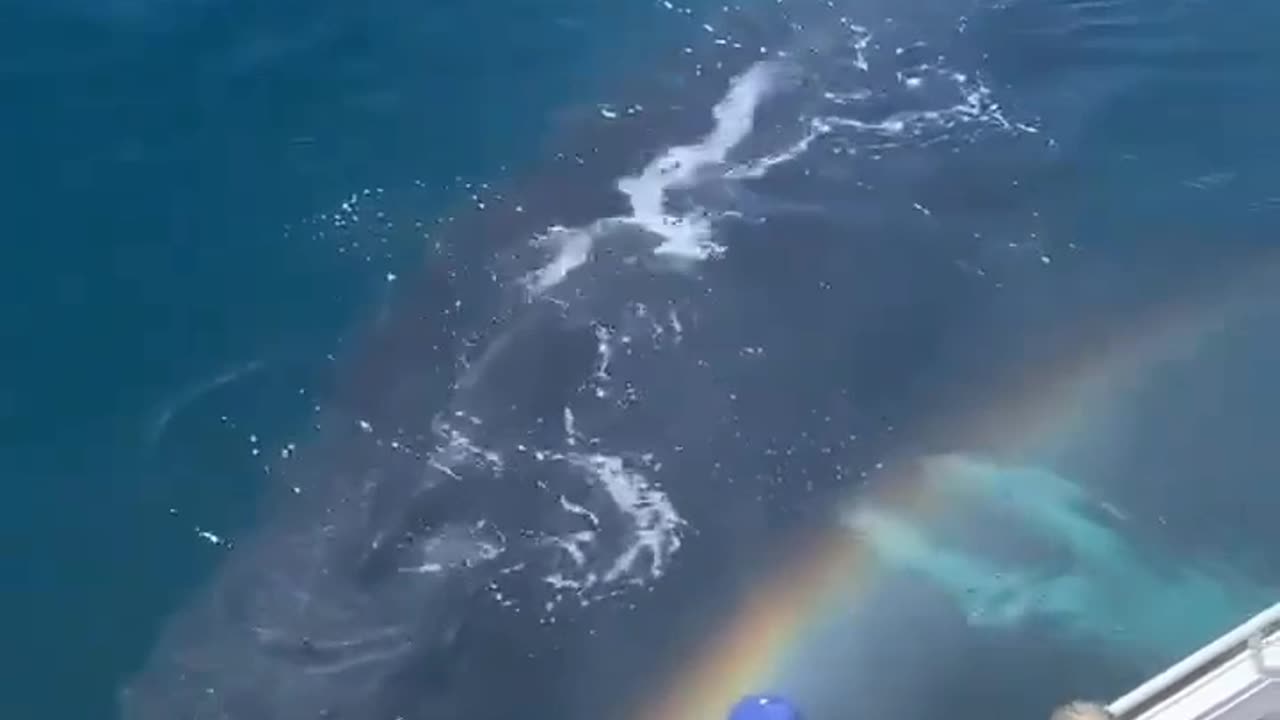 blow rainbow