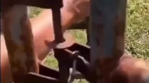 News Break: Working Man Memes