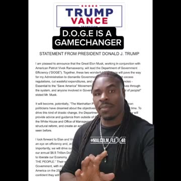 The Department Of Government Efficiency