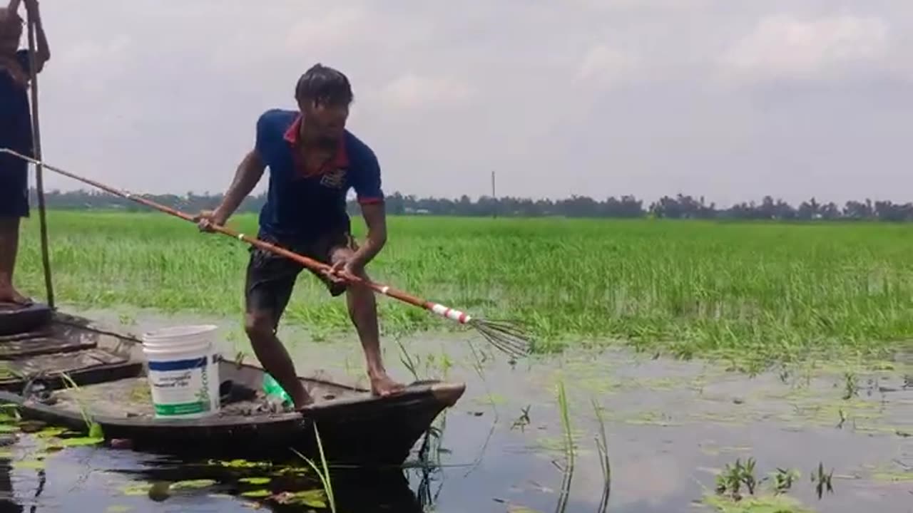 Fishing Bangladesh