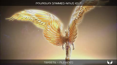 Pourquoi sommes-nous ici ? -2-