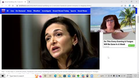 Sheryl Sandberg of Fakebook Steps Down Day After True The Vote Senate Hearing