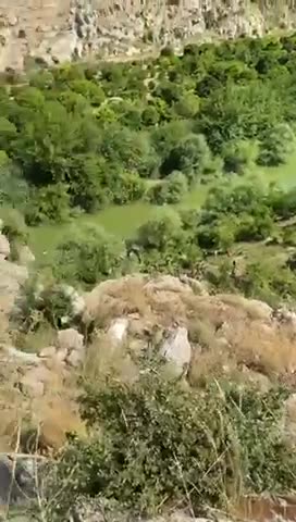 Syria: Horrific news coming from Darkush in Idlib