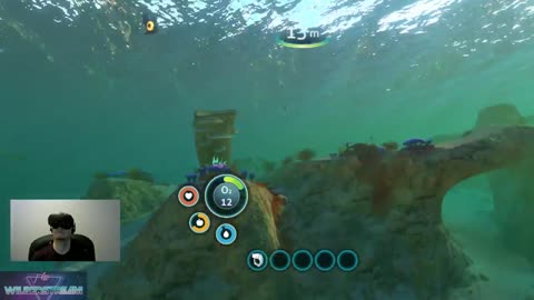 Subnautica in VR