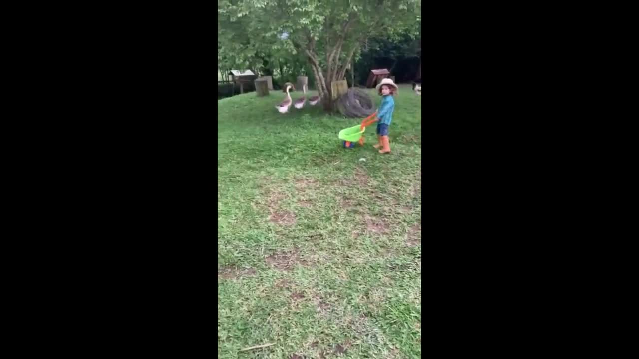 Kid helps out by feeding the farm animals