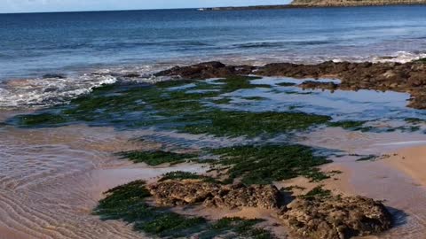 Culburra Beach, New South Wales, Australia