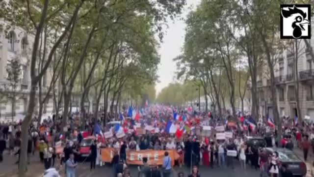 France: Massive Protests Against Vaccine Passports Aug. 28, 2021