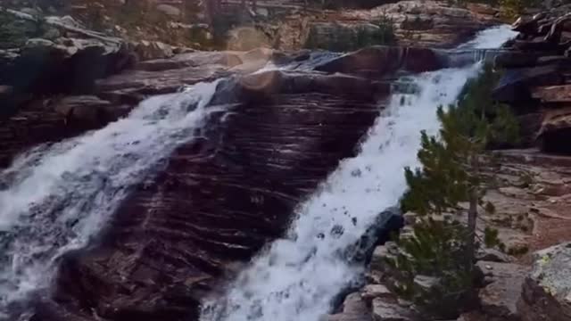 the beauty of flowers and waterfalls