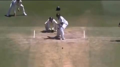 Cricket in Action