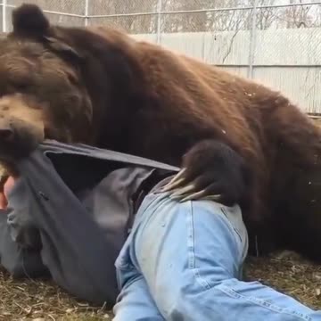 Anti-Loosh Video Number 149. LOOSH is real and bad. Explained below and watch the video