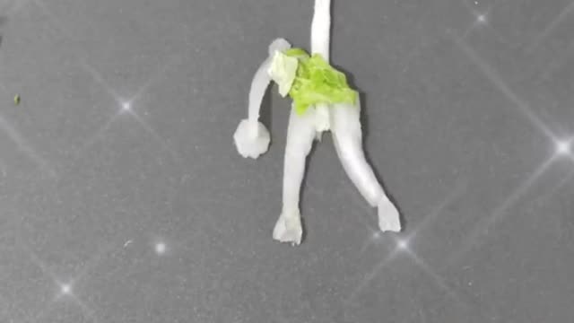 cabbage stitching animation playing basketball