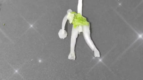 cabbage stitching animation playing basketball