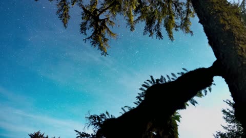 SOOTHING AND MYSTERIOUS UNIVERSE