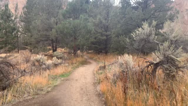 Central Oregon – Smith Rock State Park – Exploring the High Desert Forest