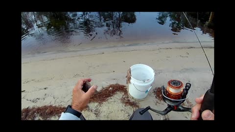 Waccamaw River fishing from the bank