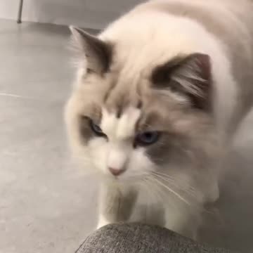 #FYP #ForYou #TikTokFYP #ForYouPage #Trending #Viral #ExplorePage #FYPシ