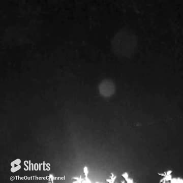 More bugs from low-res and hires unzoomed versions in CHCH NZ new zealand