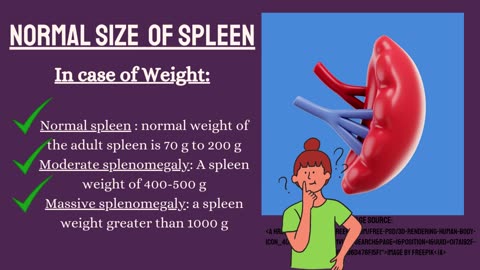 What is Splenomegaly? Causes of Enlarged Spleen Explained | Novice Medic