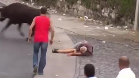 Now, I know I am not dumb.