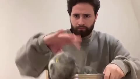 Well that Moved | Cat Reply| Amazing Artist