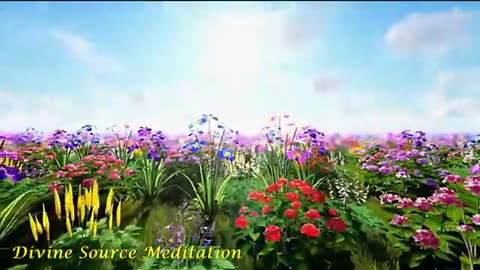 528 Hz Solfeggio ★ Positive Transformation ★ Emotional & Physical Healing ★ Anti-Anxiety