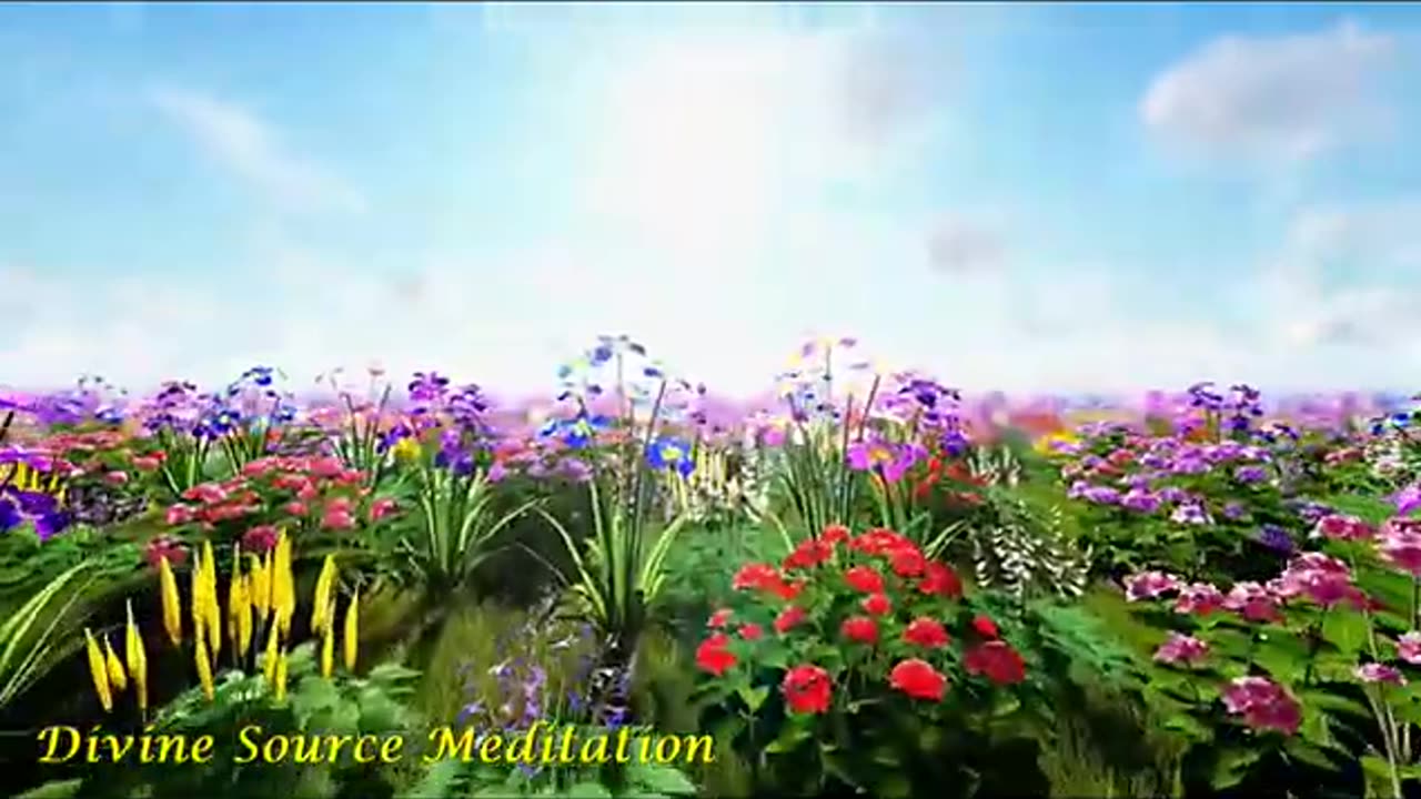 528 Hz Solfeggio ★ Positive Transformation ★ Emotional & Physical Healing ★ Anti-Anxiety