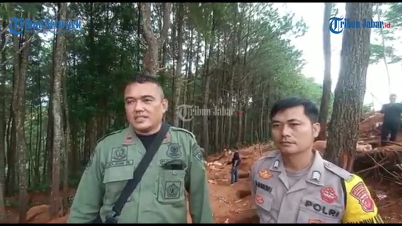 tambang emas ilegal