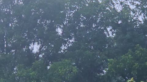 This morning into Night again.