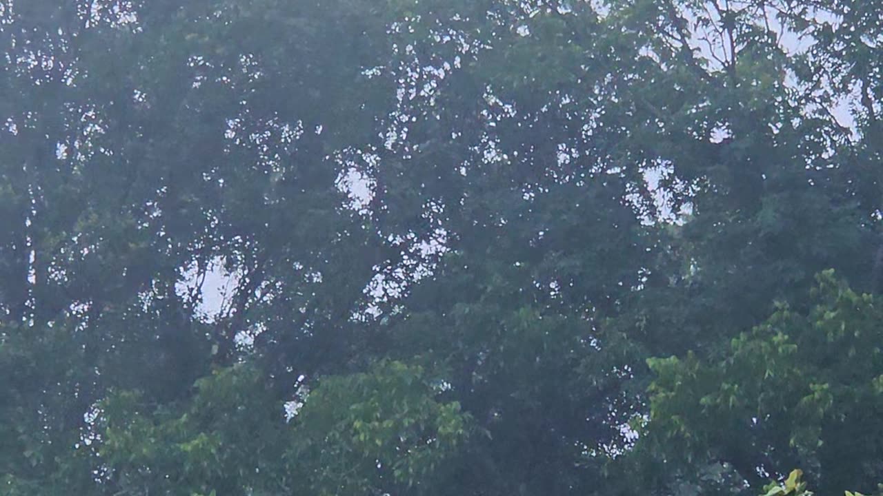 This morning into Night again.