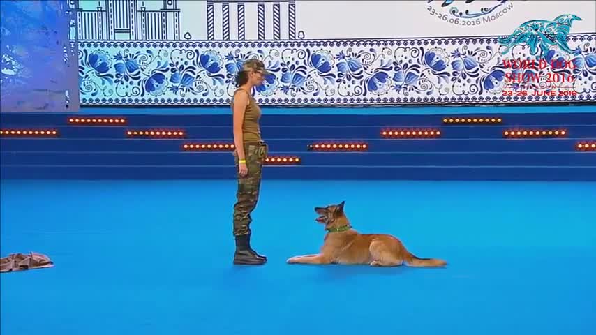 FCI Dog dance World Championship 2021 | Freestyle final | Lusy Imbergerova and Deril (Italy)