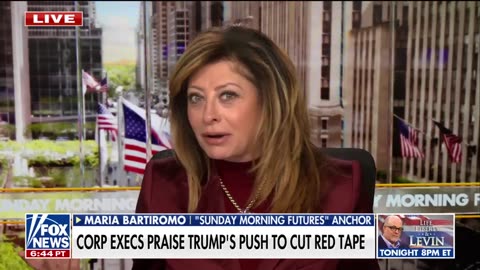 Bartiromo calls out Big Tech CEOs for wanting a ‘seat at the table’ in Trump admin