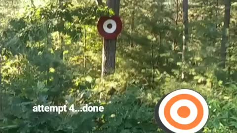 Target Practice Fail