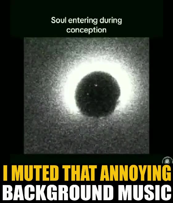 PROOF!!! The SOUL Enters the Body during CONCEPTION!