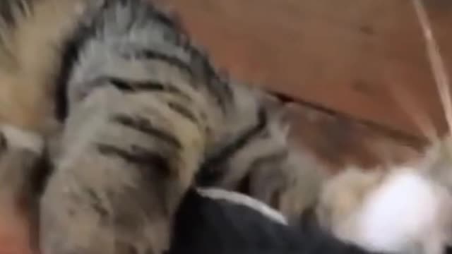 it's mine