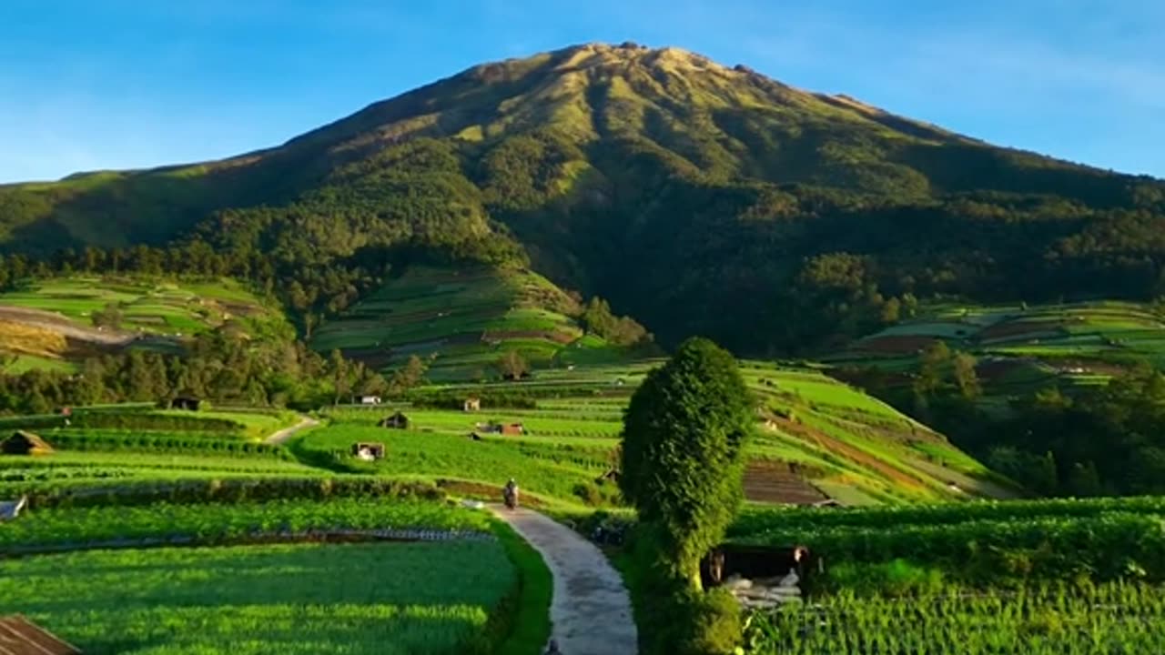 Ojo Gandoli, Lungaku Ra Bakal Bali