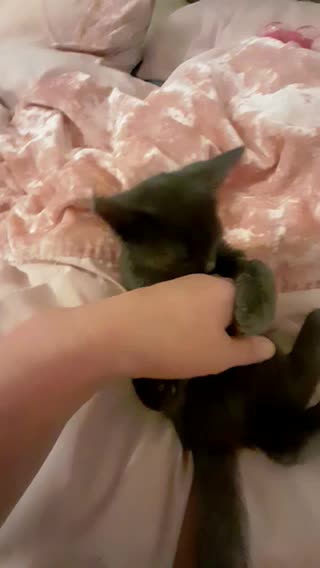 MJCS 6) Concussion 11/11/2020