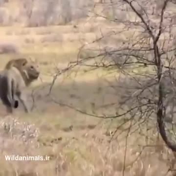 Don't know what it is but it can't be good.