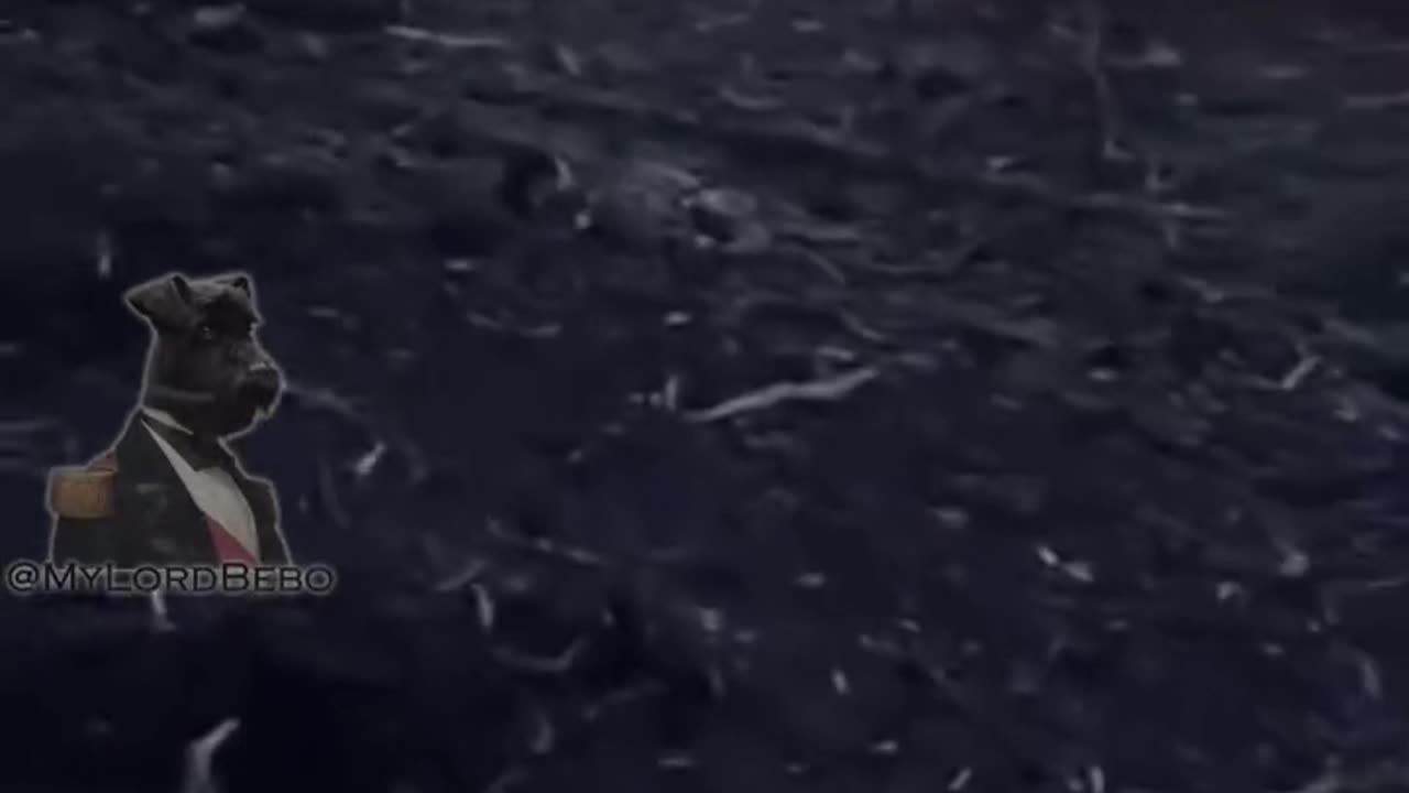 Ukrainian soldier documents mass losses as a result of MLRS damage