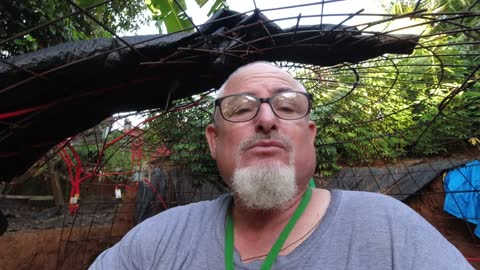 2 MANY ARE JUST PUTTING THEIR ARMS OUT, CHAINS PLEASE