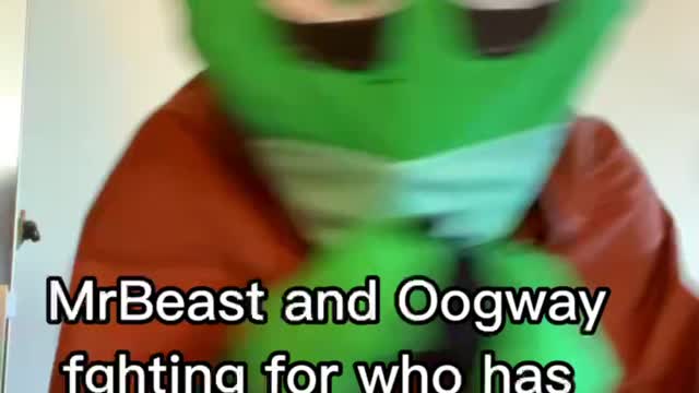 MrBeast and Oogway fighting