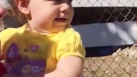 Cute Baby Videos - Funny Baby Compilation