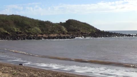 Maunaloa, HI — Dixie Maru Cove - Kapukahehu Beach