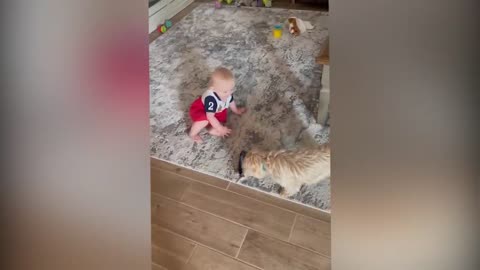 Cutest Babies Play With Dogs And Cats Compilation