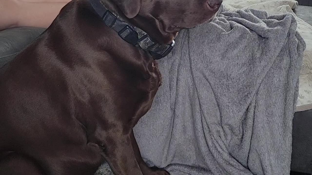 Mosley Watching PS5
