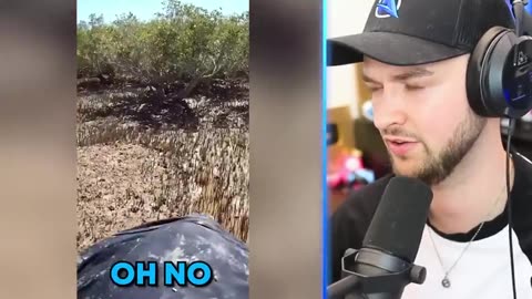 Most Viewed Viral Video On YouTube and Rumble