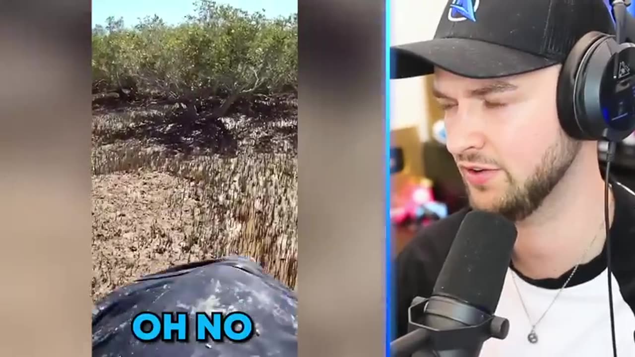 Most Viewed Viral Video On YouTube and Rumble