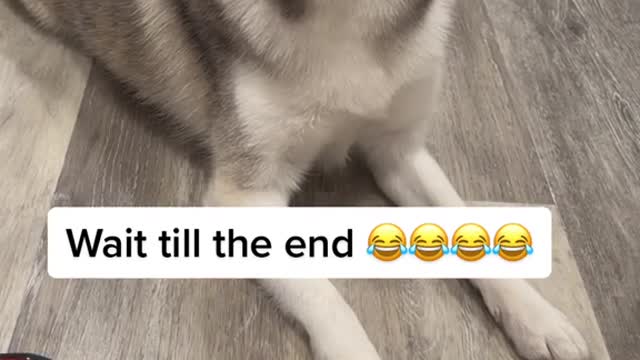Sassy Sapphie strikes again